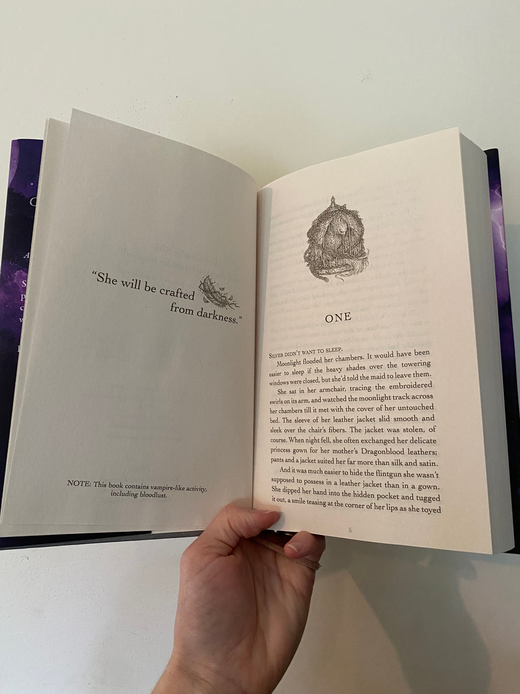 Silver is the Sky: Empire of Blood and Storm book one signed copy